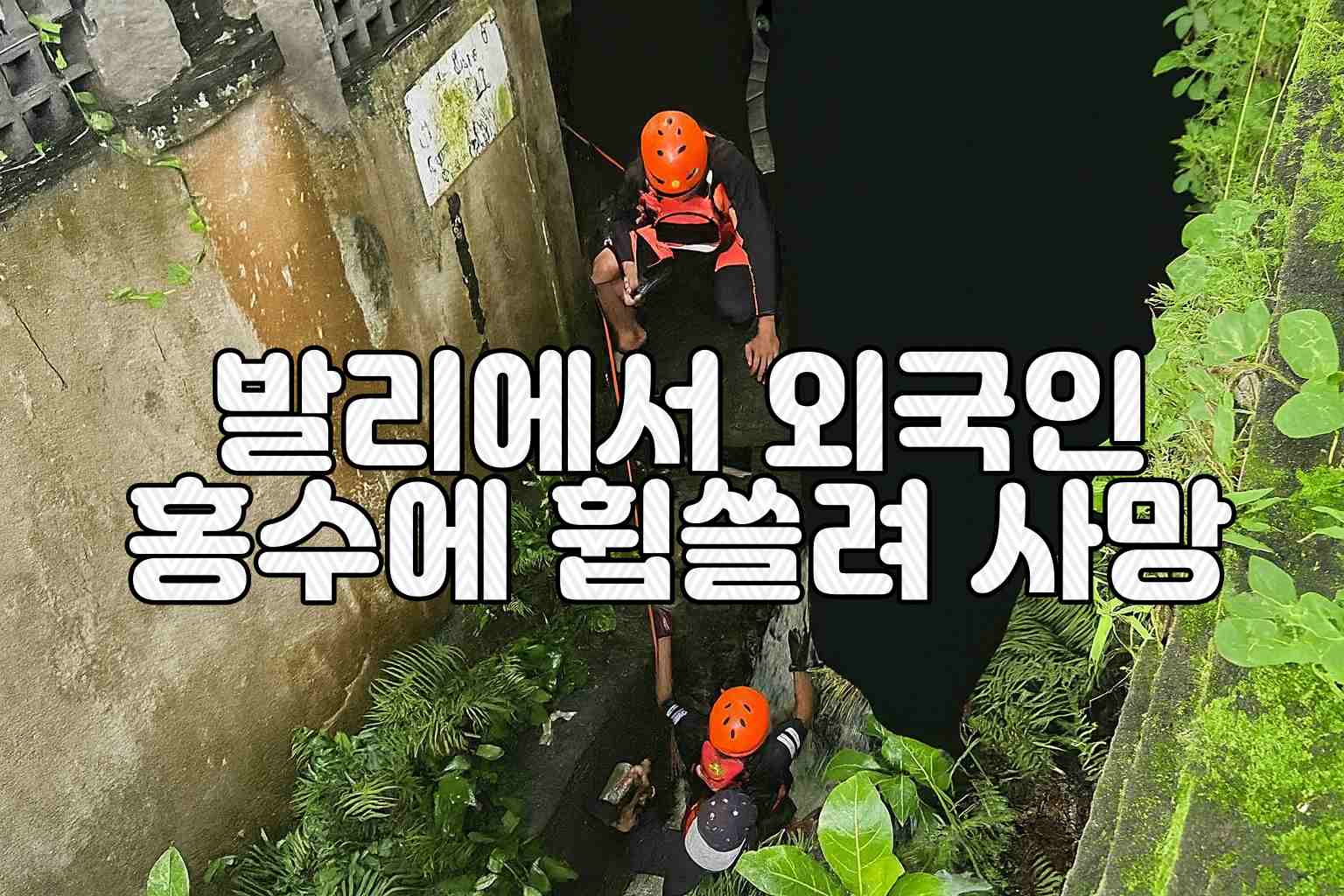 발리 외국인 사망.jpg