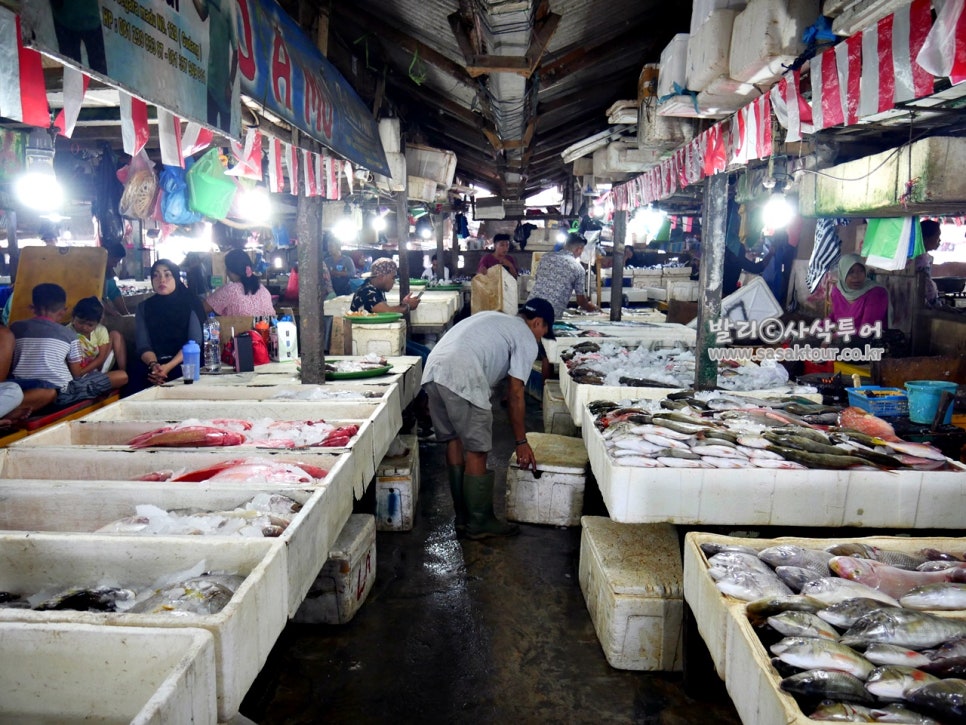 P1010186.jpeg