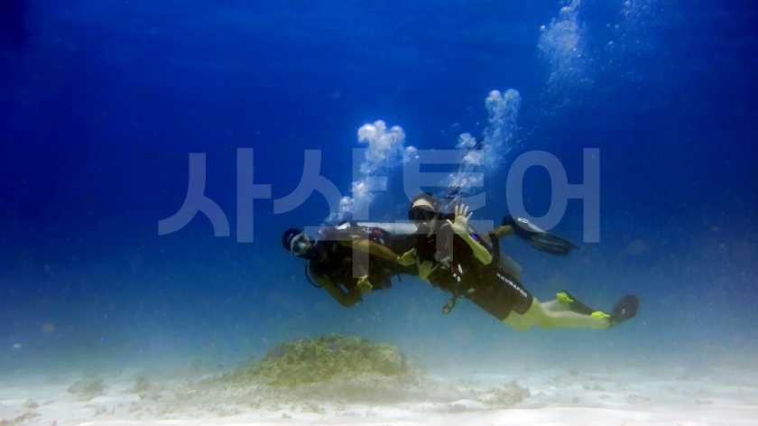 길리 체험다이빙DSC05157.jpg