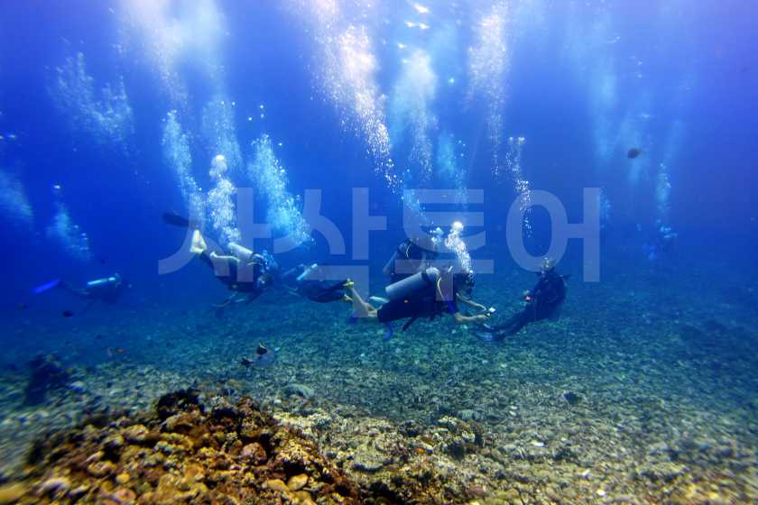 길리 체험다이빙DSC07071.jpg