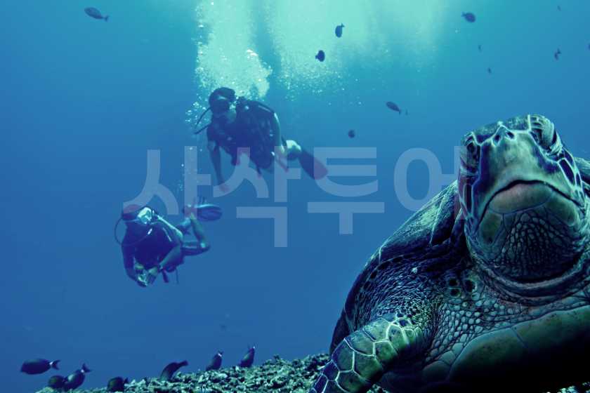 길리 체험다이빙DSC05788.jpg