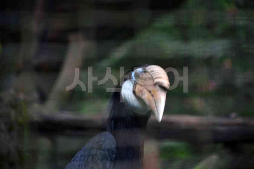베이비쥬SIN_4428.JPG