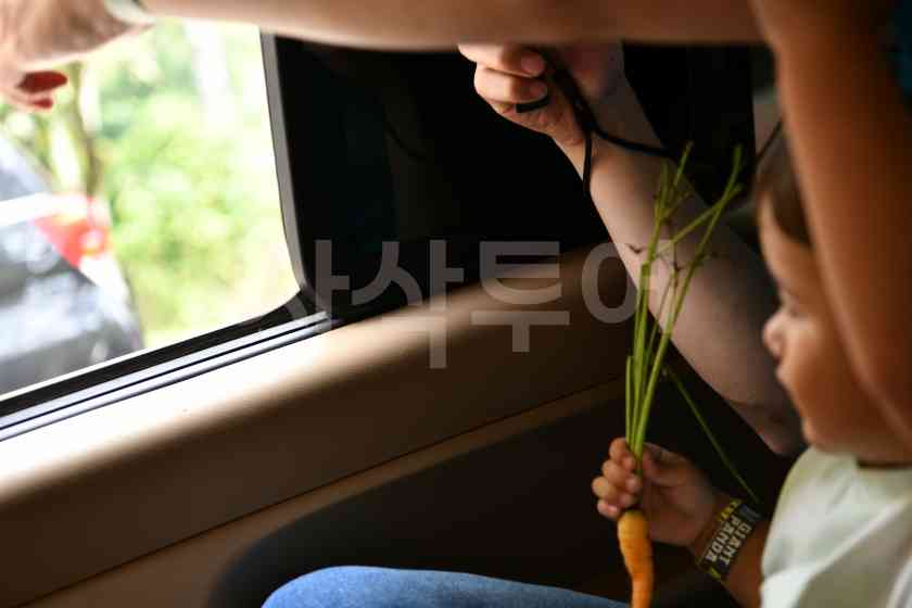 따만사파리DSC_2471.JPG