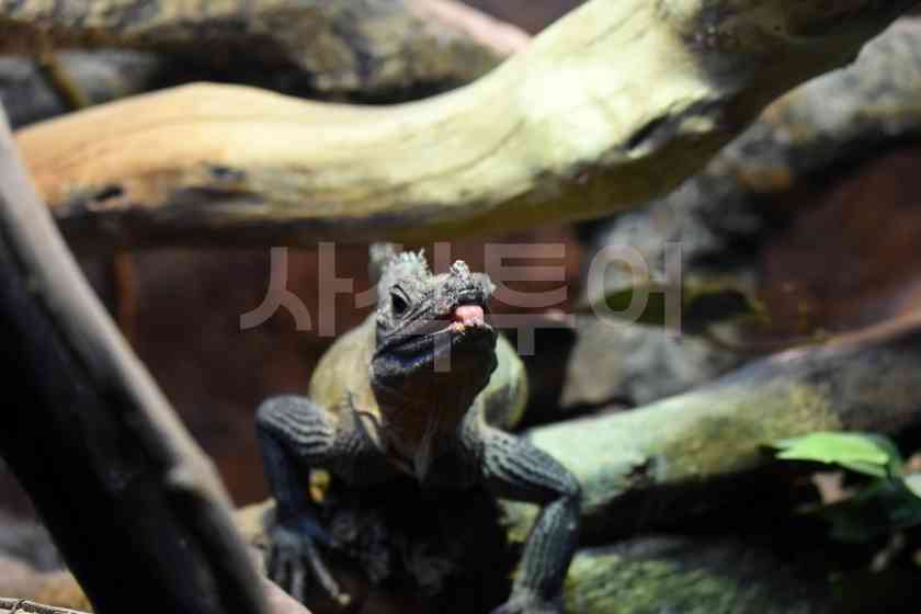따만전시관DSC_5195.JPG
