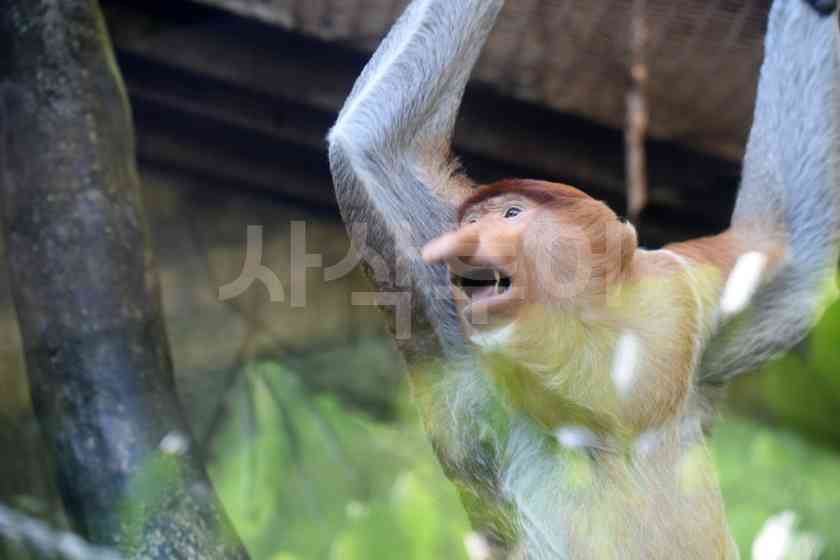 따만전시관DSC_5514.JPG