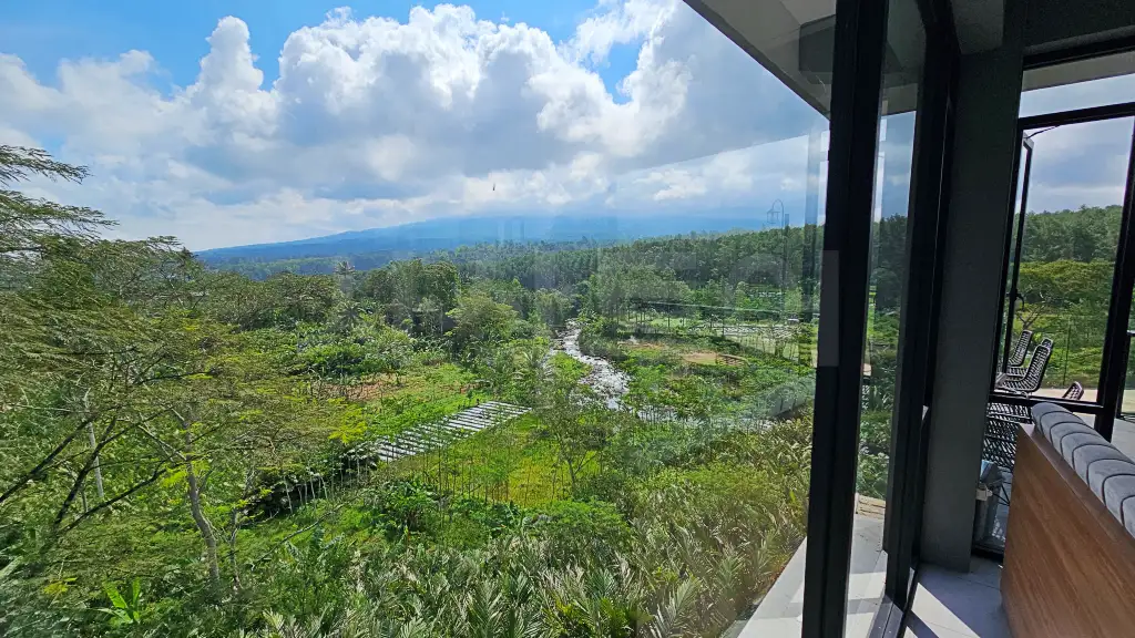 PINUS SEWU20250623_122908.webp