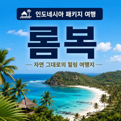 롬복 패키지