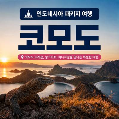 코모도 패키지