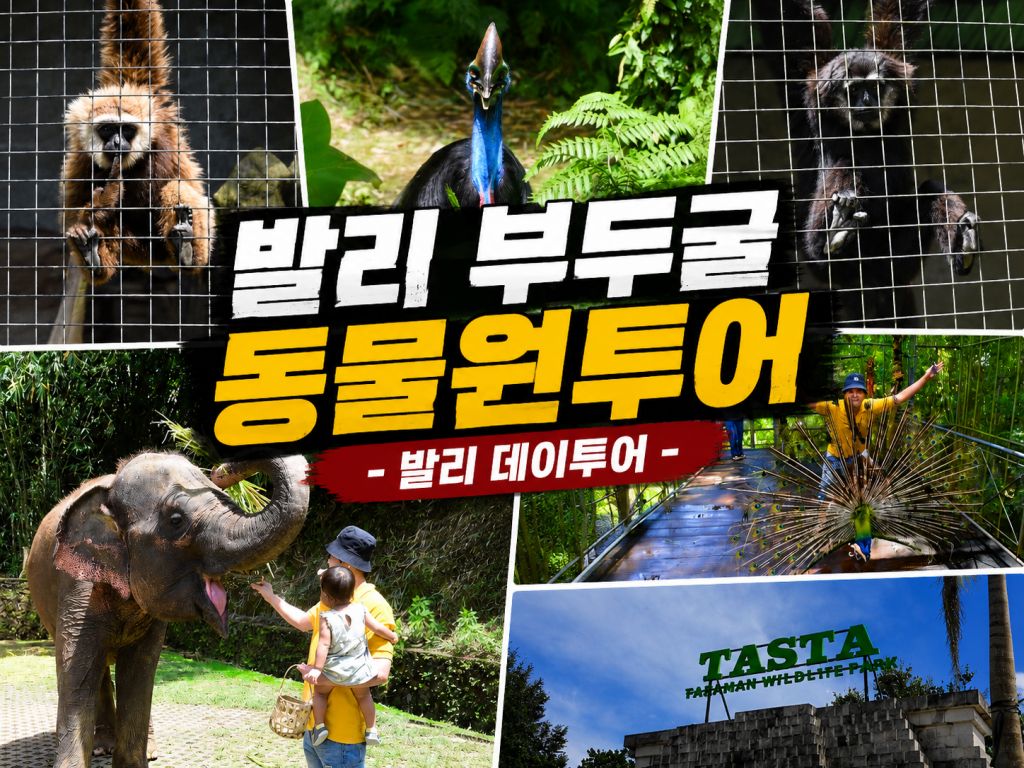 발리 부두굴 투어.jpg