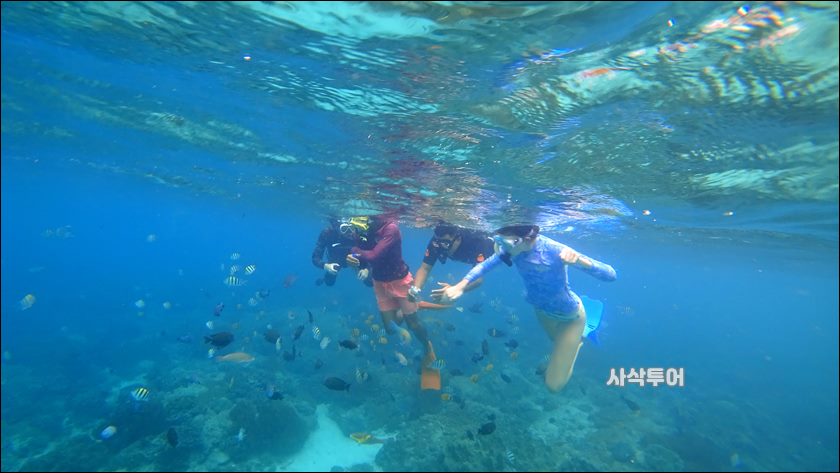 파당바이 스노클링수중116.JPG