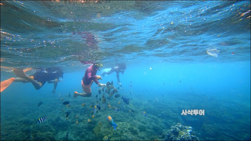 파당바이 스노클링수중090.JPG