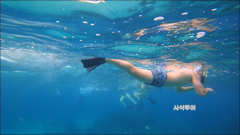 파당바이 스노클링수중118.JPG