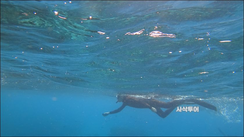 파당바이 스노클링수중061.JPG