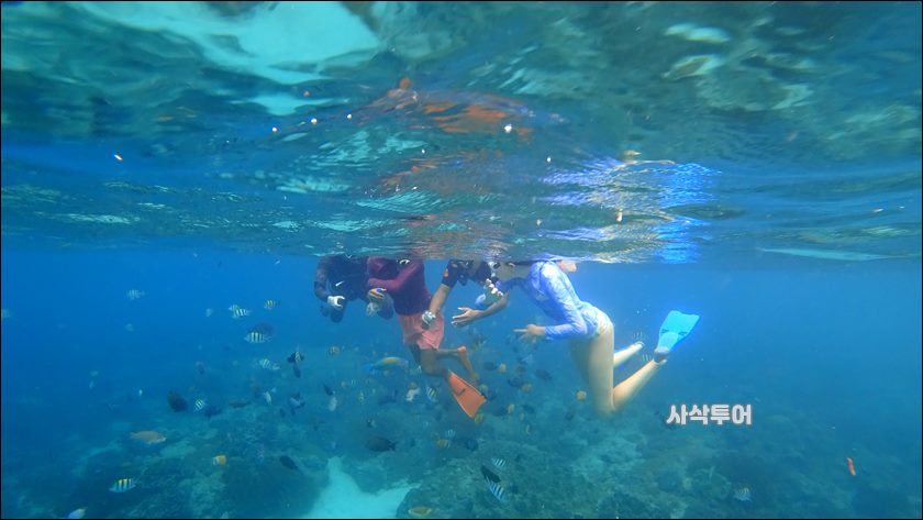 파당바이 스노클링수중115.JPG
