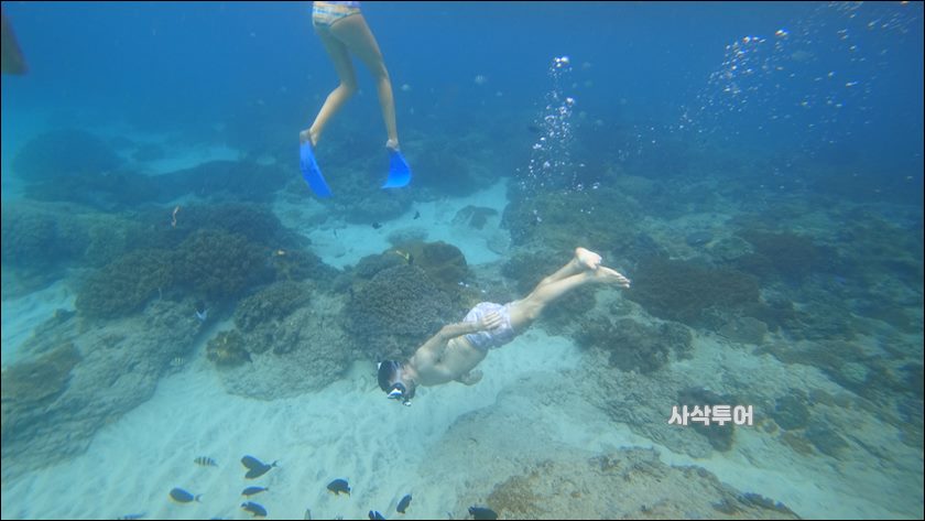 파당바이 스노클링수중130.JPG