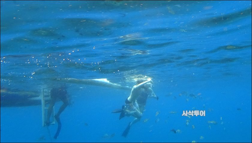 파당바이 스노클링수중030.JPG