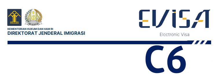 C6 사회활동 (VISA KEGIATAN SOSIAL)