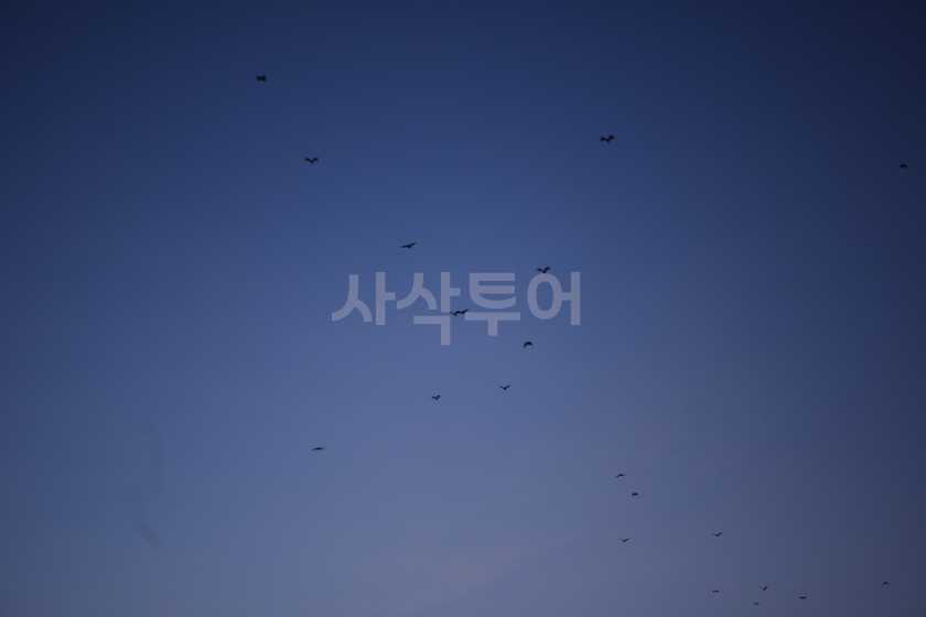 코모도 최고의 선셋 포인트