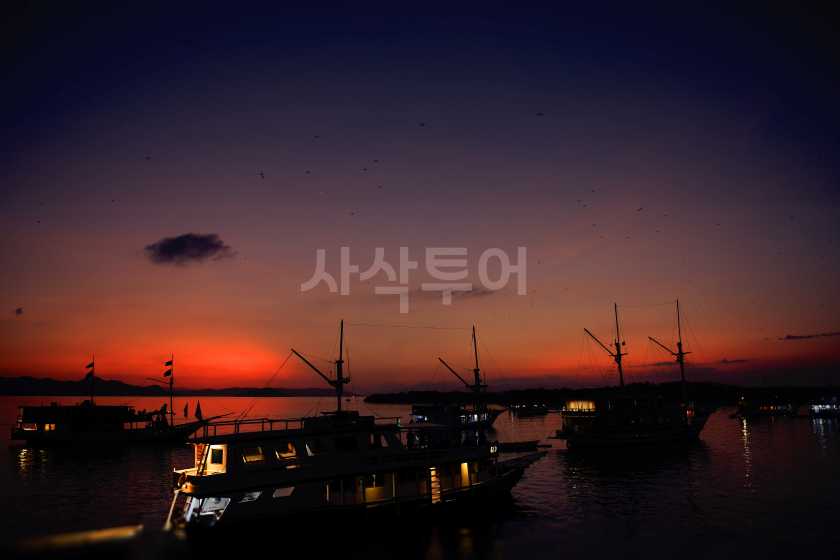 깔롱섬 선셋 박쥐