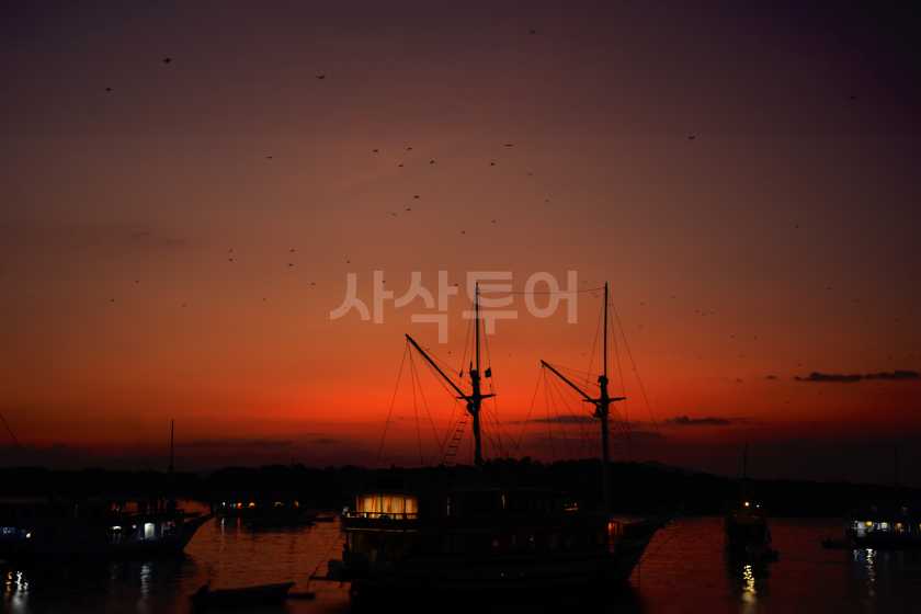 코모도 박쥐섬 일몰