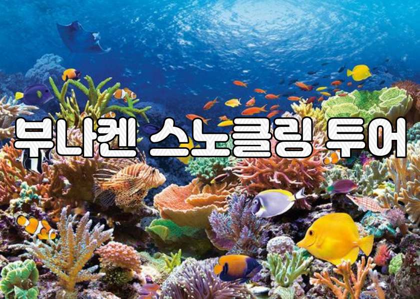 마나도 부나켄 스노클링 호핑 데이투어
