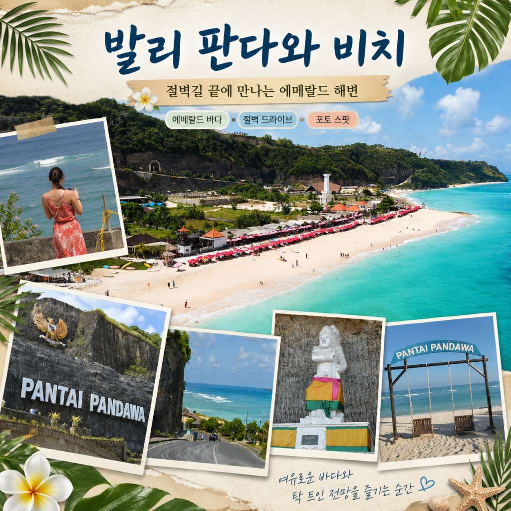 판다와비치.jpg