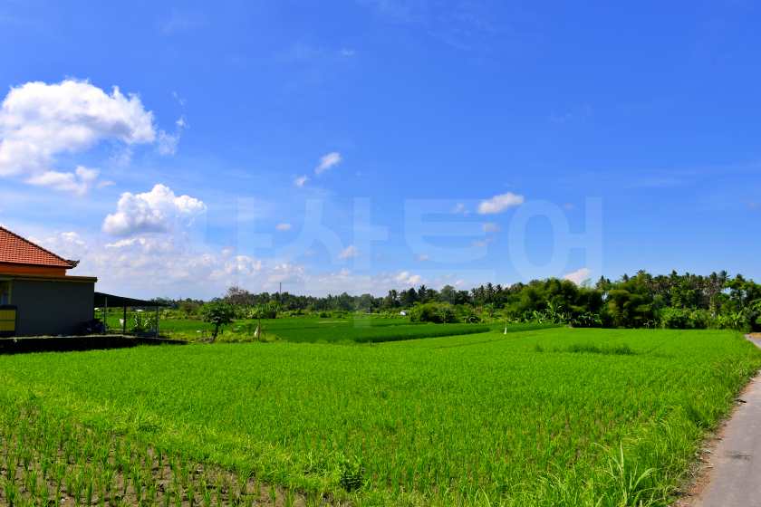 DSC_9544.jpg
