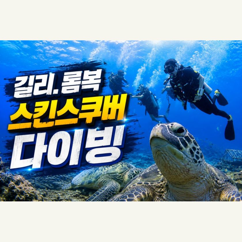 롬복 데이투어 길리 체험다이빙 투어