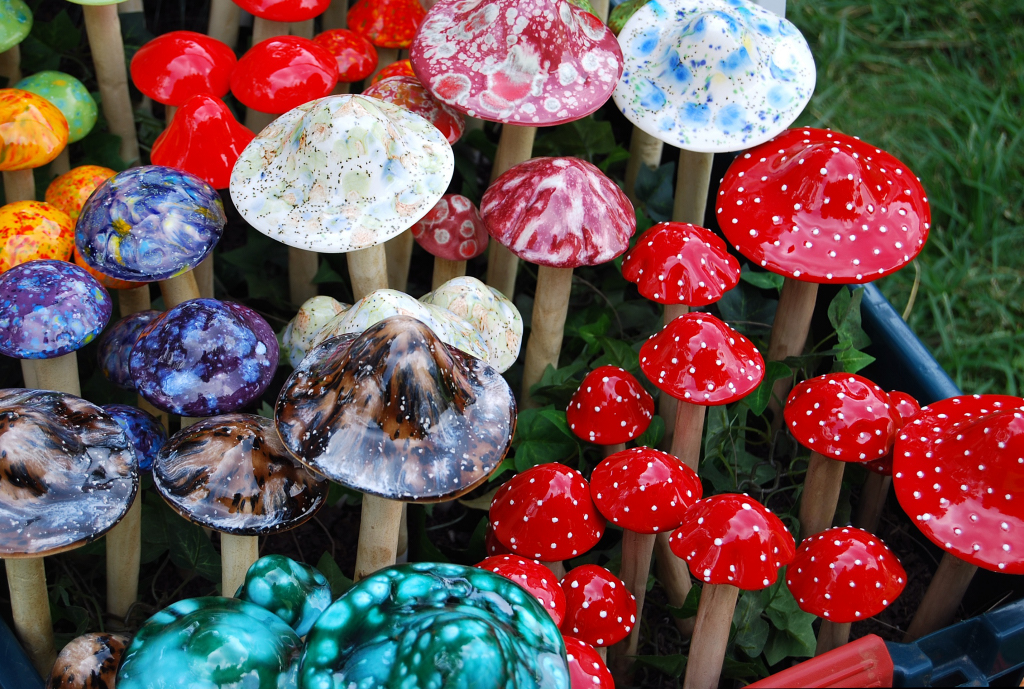 Magic_mushrooms.jpg